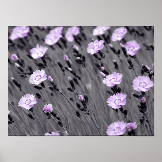 Poster Pastel lilac (Devant)
