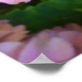 Poster Pastel rose Hortensia hydrangea fleurs (Coin)
