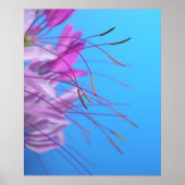Poster Pastel Simplicity (Devant)