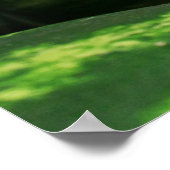 Poster Pastèque (Coin)