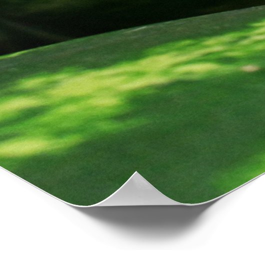 Poster Pastèque (Coin)