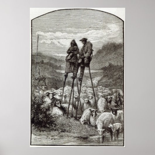 Poster Pastorale dans les Landes (Devant)