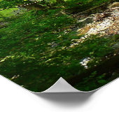 Poster Patapsco River View Maryland Nature Photographie (Coin)