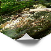 Poster Patapsco River View Maryland Nature Photographie (Coin)