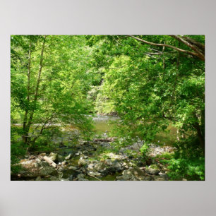 Poster Patapsco River View Maryland Nature Photographie