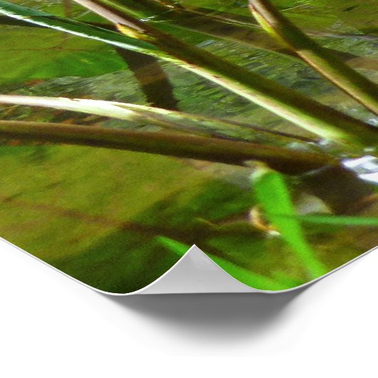 Poster Patch de Taro hawaïen (Coin)