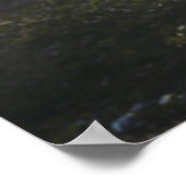 Poster Patch of Underbrush in the Forest (Coin)