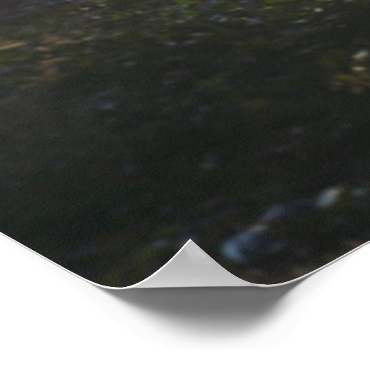 Poster Patch of Underbrush in the Forest (Coin)