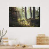 Poster Patch of Underbrush in the Forest (Cuisine)