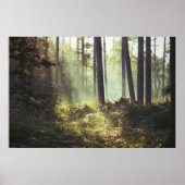 Poster Patch of Underbrush in the Forest (Devant)
