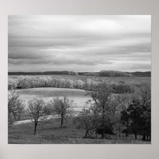 Poster Patches de Sun (Devant)