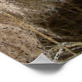 Poster Patchwork Amy (Coin)