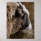 Poster Patchwork Amy (Devant)