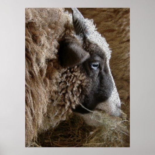 Poster Patchwork Amy (Devant)