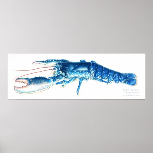 Poster Pâte d'eau bleu pâle (Devant)
