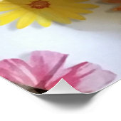 POSTER PÂTES SUR PLATEAU (Coin)