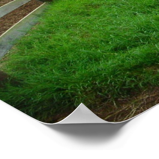 Poster Pâtes vertes (Coin)