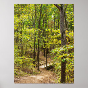 Poster Path To The Bridge