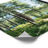 Poster "Path to the Lake" (Coin)