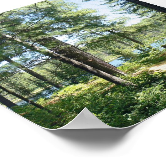 Poster "Path to the Lake" (Coin)