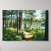 Poster "Path to the Lake" (Devant)