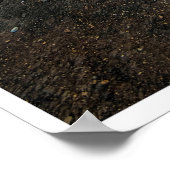 Poster Path Toward the Light (Coin)