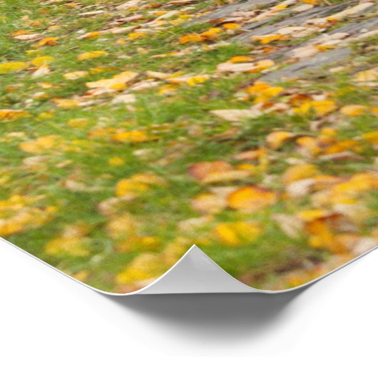 Poster Pathway en Autumn (Coin)