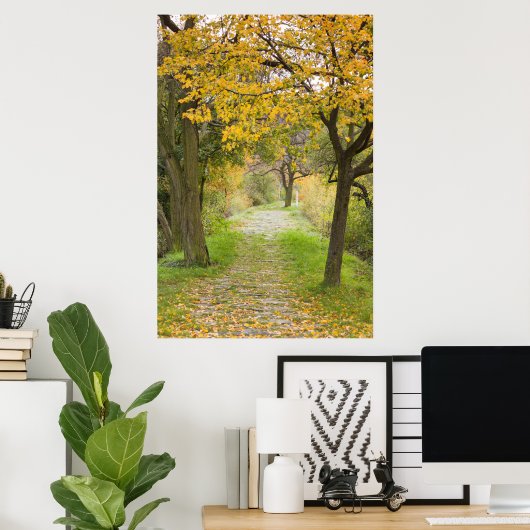 Poster Pathway en Autumn (Bureau à domicile)