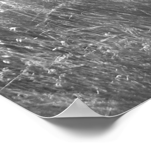 Poster "Pathway to Light" (Coin)