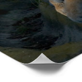 Poster Patience (Coin)