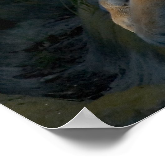 Poster Patience (Coin)