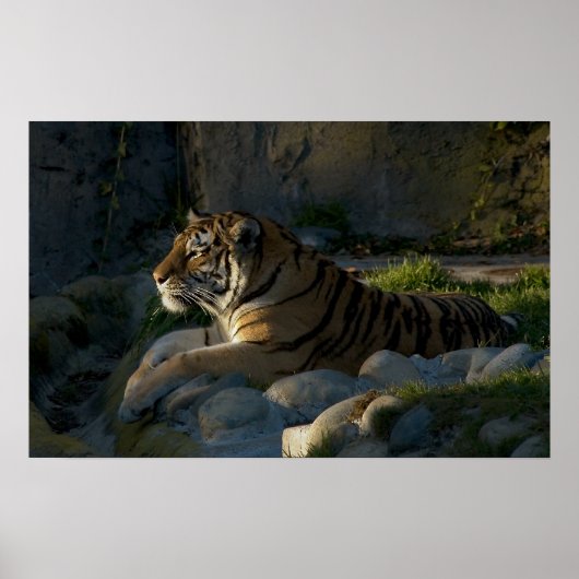 Poster Patience (Devant)