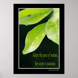 Poster Patience