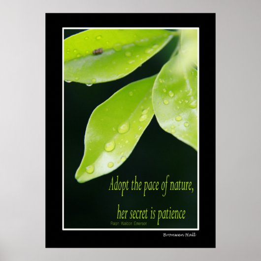 Poster Patience (Devant)