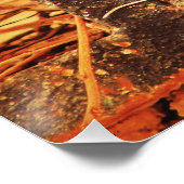 Poster Patience (Coin)