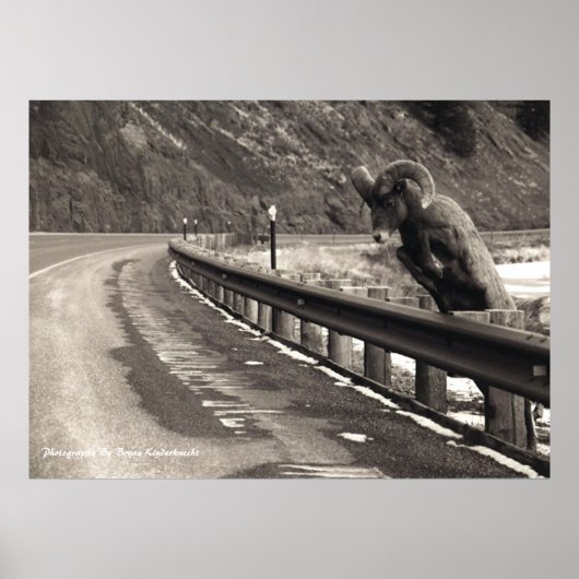 Poster Patience (Devant)