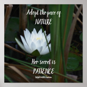 Poster Patience Emerson Citation Inspirationnelle Lotus