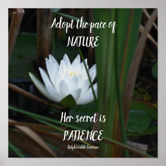 Poster Patience Emerson Citation Inspirationnelle Lotus (Devant)