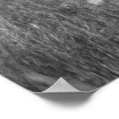 Poster Patience pastorale, 1942 (Coin)