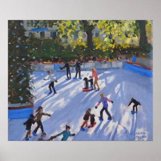 Poster Patinage sur glace Musée d'histoire naturelle 2014 (Devant)