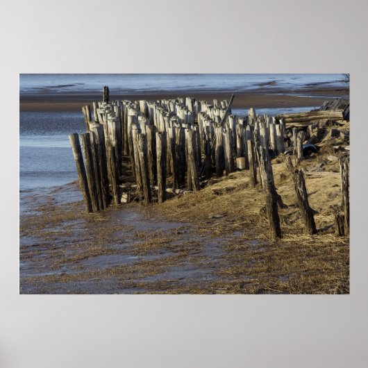 Poster Patiné et usé (Devant)