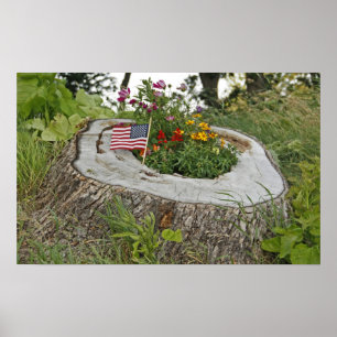 Poster Patriotic Stump