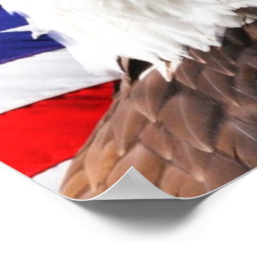 Poster patriotique (Coin)