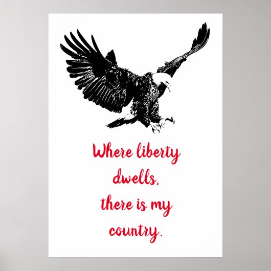 Poster Patriotique Bald Eagle Motivational USA Liberty (Devant)