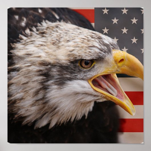 Poster patriottisch Afbeelding Eagle (Voorkant)