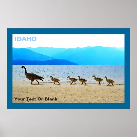 Poster Patrol Canada Oies (Devant)