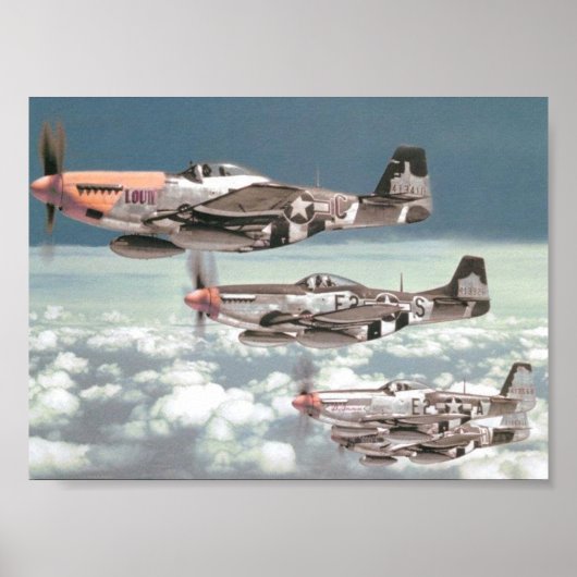 Poster Patrol Mustang (Devant)