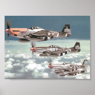 Poster Patrouille de mustang