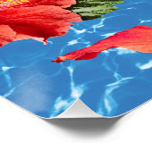 Poster pattern of tropical flowerwers (Coin)