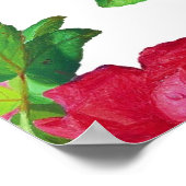 Poster Pattern with Red, White and Pink Roses, (Coin)